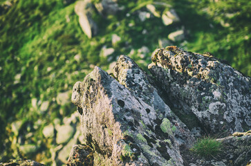 Carpathian mountain landscape