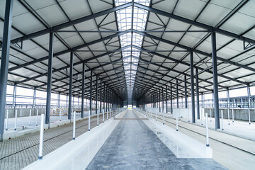 Empty hangar for cows. Large agricultural cowshed.