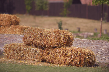 hay bales in a field