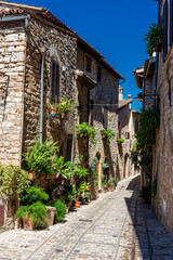 Fototapeta na wymiar Beautiful medieval street with flowers and plants in the historic center of Spello, Umbria Italy