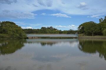 Fototapeta na wymiar 長居植物園の橋
