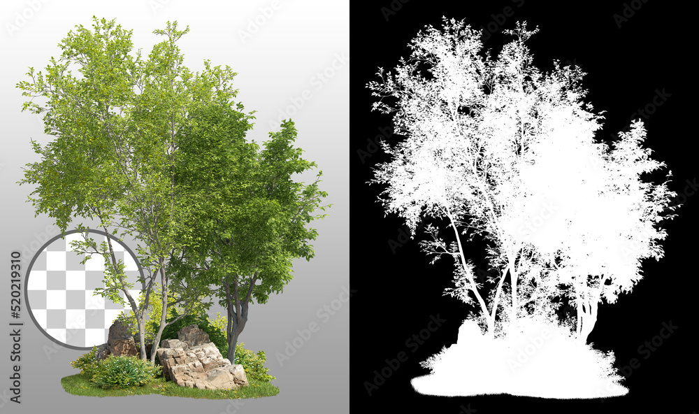 Wall mural group of trees among the rocks. cutout trees isolated on transparent background via an alpha channel