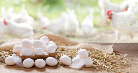 Chicken eggs on a wooden table in the chicken farm © Nitr