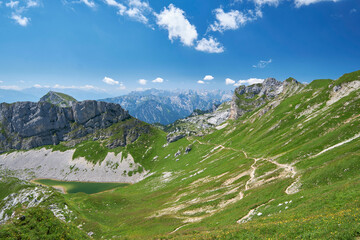 Fototapeta premium Alpine meadow in the mountains around lake Achensee, Tirol, Austria
