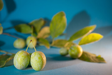 plums with foliage on a blue background