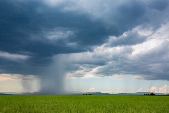 Rainstorm and heavy rain pouring down from a dramatic cloudscape over green field. Europe, Bulgaria, spring daytime