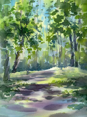 Forest path sunlight shadow watercolor background. Summer illustration