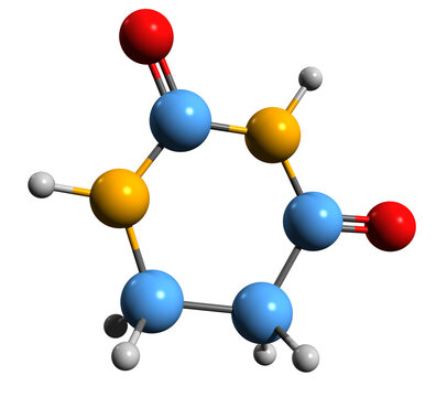  3D image of Dihydrouracil skeletal formula - molecular chemical structure of uracil intermediate isolated on white background
