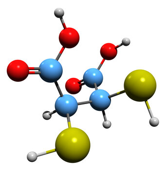  3D image of Dimercaptosuccinic acid skeletal formula - molecular chemical structure of succimer isolated on white background
