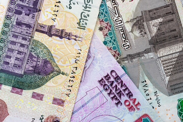 Three Egyptian pound banknotes closeup