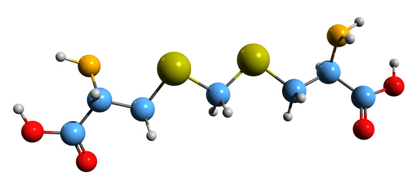  3D image of Djenkolic acid skeletal formula - molecular chemical structure of jengkolic acid isolated on white background