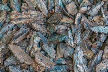 Tree bark texture.