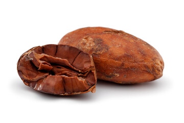 cacao beans isolated on white background