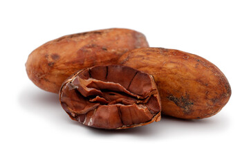 cacao beans isolated on white background