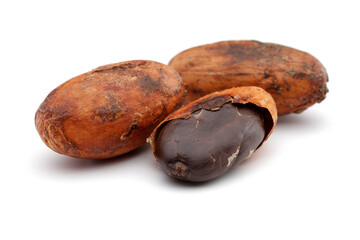 cacao beans isolated on white background