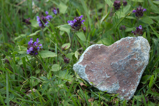 Stone In The Shape Of A Heart Laying On The Grass In Norwegian Forest,heart Made By Nature,love,wedding And Valentine Concept,stone Funeral Heart.