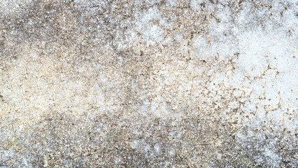 old concrete surface Dirty and rough, weathered, seamless textured gray background.
