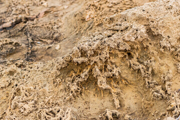 texture of stone