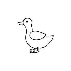 Duck farm animal linear icon. Editable stroke
