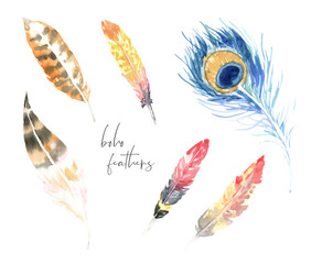 Watercolor boho feathers,woodland decor single illustration, peacock feather. Cute wild feathers for frame,wreath, bouquet, background, texture, wrapper pattern, border,wedding, baby shower,diy card