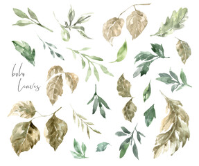 Watercolor woodland illustration of forest plants, leaf, peony leaves,greenery,botanical,rustic diy. Decorative design elements of forest flora design Isolated objects, frame,wreath, bouquet,card diy