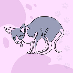 Pet with a medallion. Line art cat with a medallion on a colored background. Funny art with a pet. Vector illustration.