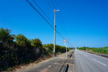 Fototapeta premium 宮古島