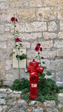 red fire hydrant and some stick roses