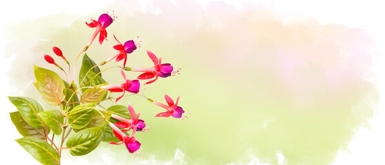 Obraz na płótnie Canvas Bouquet of fuchsia on pastel watercolor background, wildflowers. Horizontal banner with copy space. Place for a text. Spring greating card