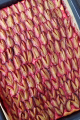 Zwetschgenkuchen. Pflaumenkuchen. Blechkuchen.