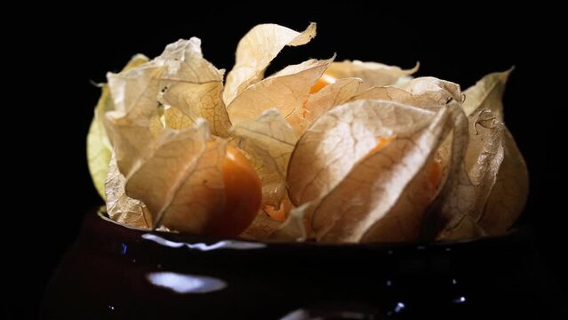 Closeup of physalis rotating and dark background.