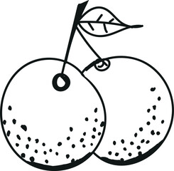 Orange fruit line icon vector. Fruits illustration.