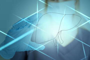 Female doctor touches virtual Liver in hand. Blurred photo, handrawn human organ, highlighted red...