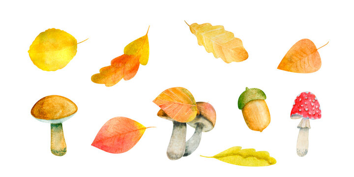 Watercolor clipart gold autumn hand drawn painting