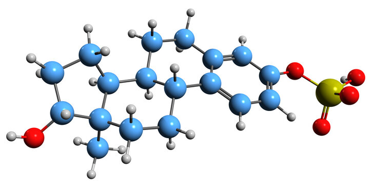  3D image of Estradiol sulfate skeletal formula - molecular chemical structure of natural endogenous steroid isolated on white background
