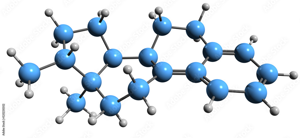 Wall mural 3D image of Estrin skeletal formula - molecular chemical structure of Estratriene isolated on white background
