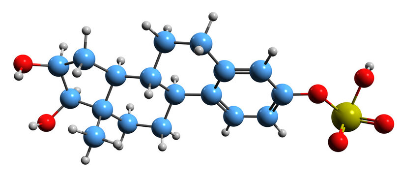 3D image of Estriol sulfate skeletal formula - molecular chemical structure of  conjugated metabolite of estriol isolated on white background
