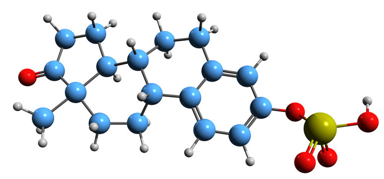 3D image of Estrone sulfate skeletal formula - molecular chemical structure of  natural endogenous steroid isolated on white background
