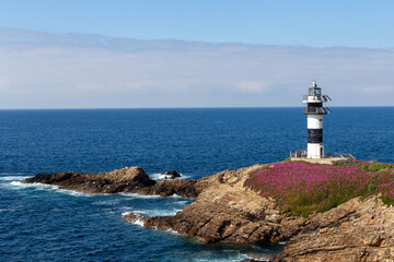 Fototapeta na wymiar lighthouse surrounded by beautiful flowers