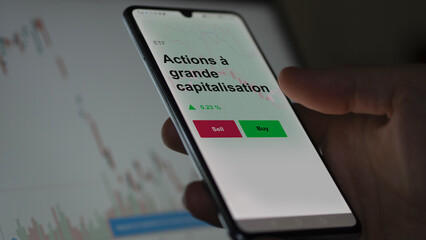 Un investisseur analyse un fonds etf actions à grande capitalisation sur un graphique. Un téléphone affiche le cours de l'ETF. Texte en français francais Actions à grande capitalisation