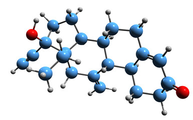  3D image of Etonogestrel skeletal formula - molecular chemical structure of hormonal birth control medication isolated on white background
 - obrazy, fototapety, plakaty