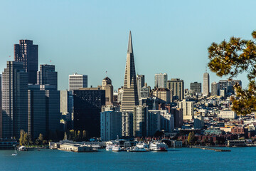 Obraz premium The City of San Francisco California 