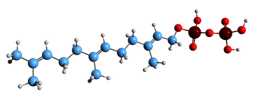  3D image of Farnesyl pyrophosphate  skeletal formula - molecular chemical structure of terpenes biosynthesis intermediate isolated on white background

