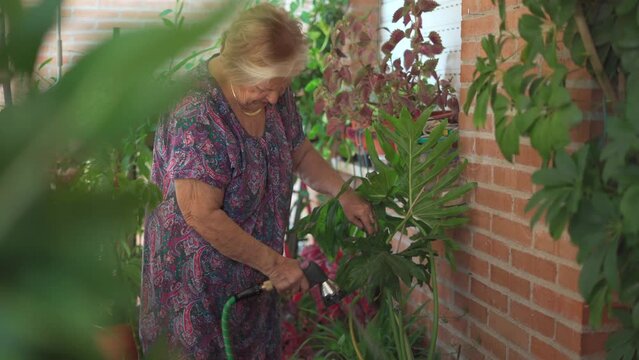 Senior Caucasian Woman Watering Plants On The Balcony