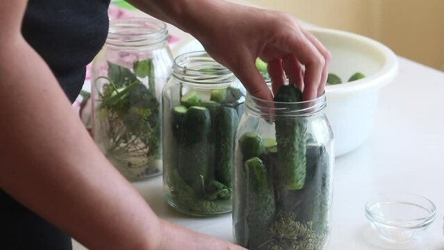 A woman puts cucumbers in jars. Pickling cucumbers for the winter. Taken from the back. Medium plan.