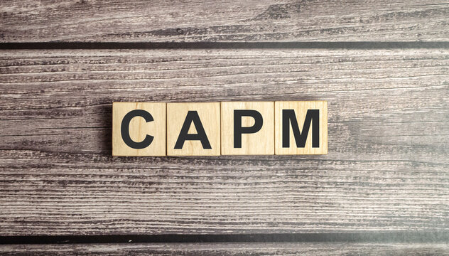 wooden cubes with the word CAPM on a brown background