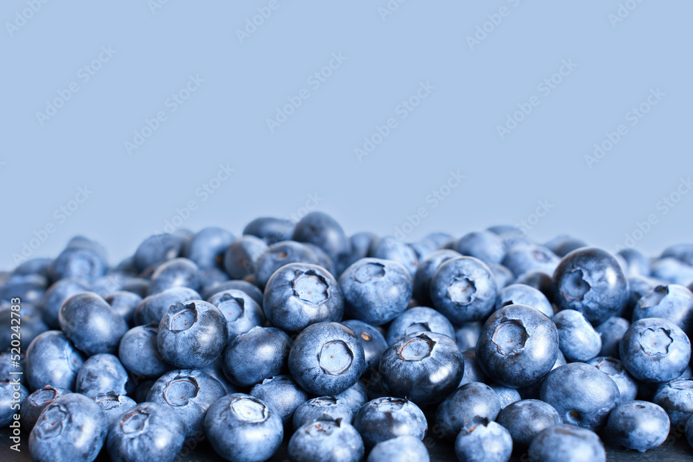 Canvas Prints pile of fresh blueberries against purple background