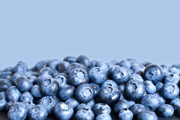 Pile of fresh blueberries against purple background