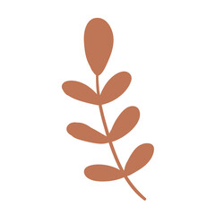 Fototapeta premium Botanical set of vector wall drawings. Floral and leafy pattern with abstract shape Vector illustration.Brown Beige white coffee leaves