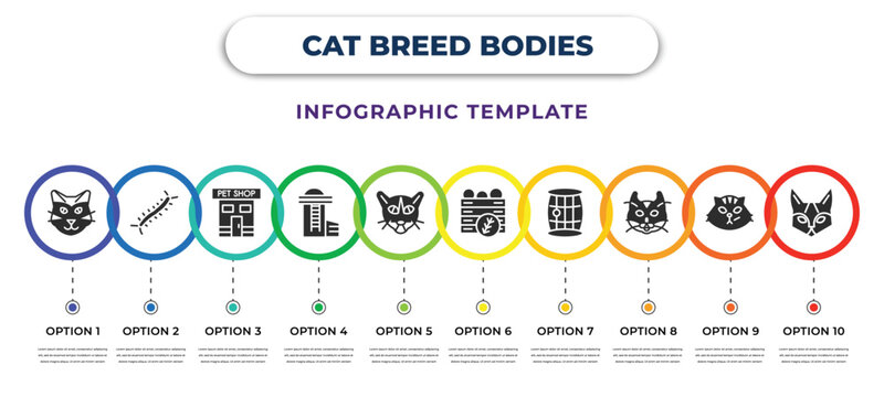 Cat Breed Bodies Infographic Design Template With Somali Cat, Centipide, Pet Shop, Silo, Khao Manee Cat, Harvest, Barrel, American Curl Siberian Icons. Can Be Used For Web, Banner, Info Graph.